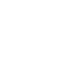 icon-motors-ami