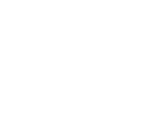 icon-technical-service-ami